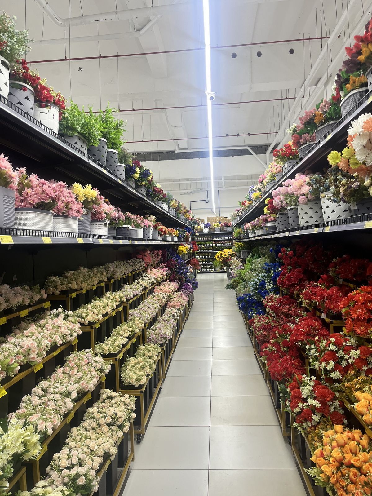 YAPRAK TARIM VE TOPTANCILIK 